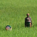 India & Nepal 2011 - 0507